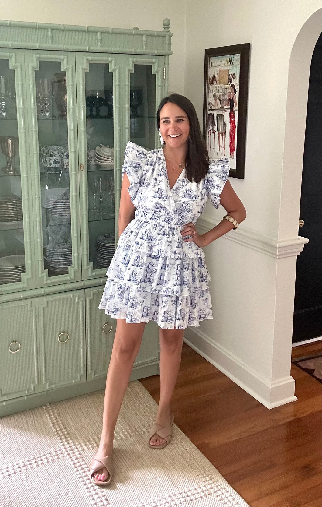 Toile Pleated Mini Dress